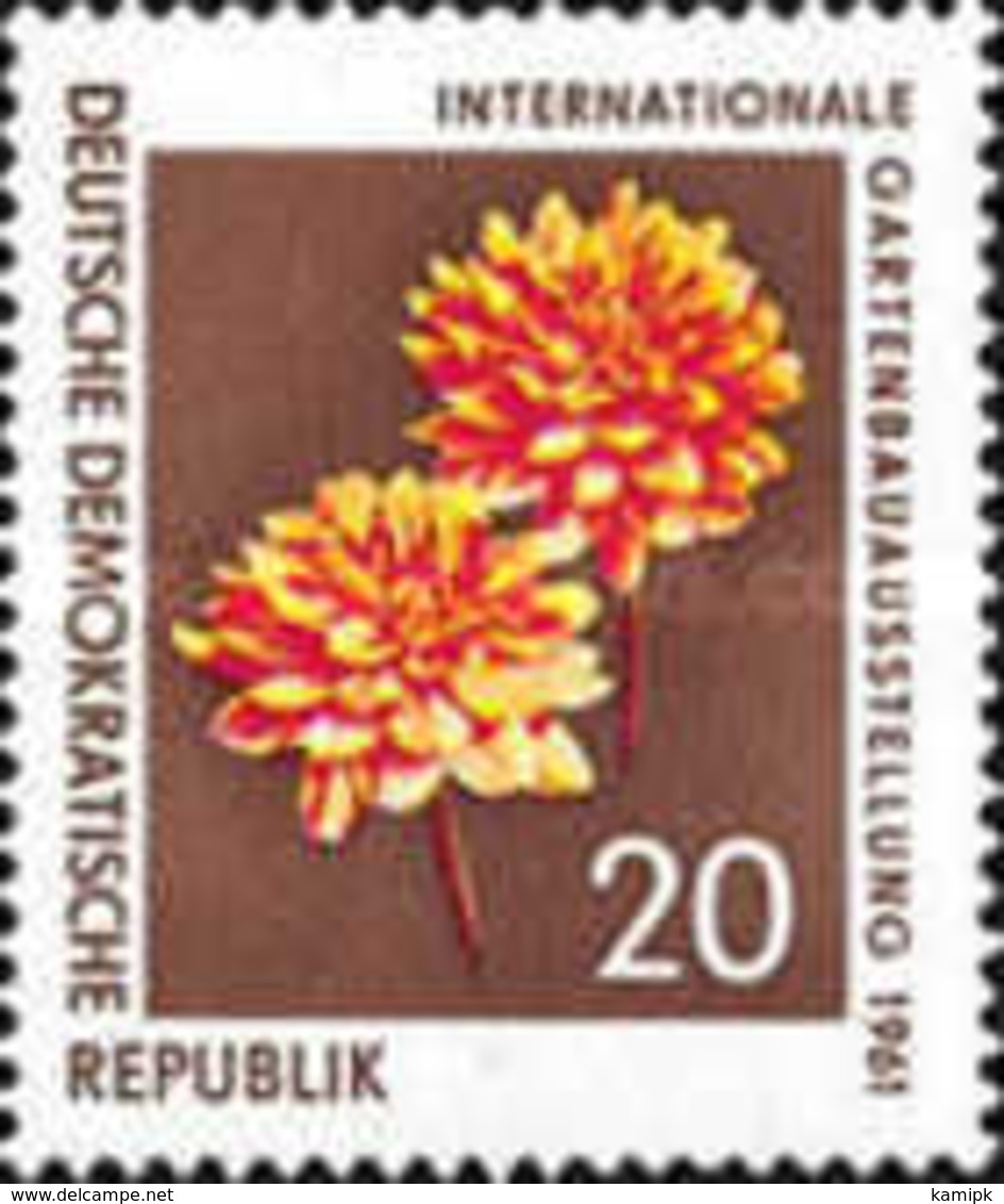 DDR - Flowers - Garden Exhibition In Erfurt - 1961 - Used Stamps