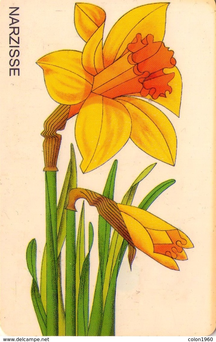 TARJETA TELEFONICA DE ALEMANIA. FLORES 2 - EL NARCISO,  PD 04/98-1 (181) - Flores