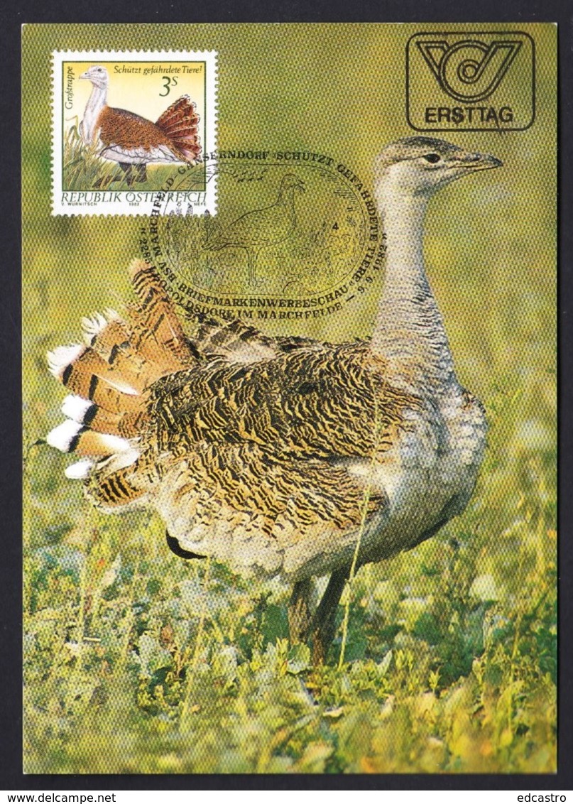 45.- AUSTRIA 1982 MAXIMUM CARD BIRDS - GREAT BUSTARD (Otis Tarda) - Sonstige & Ohne Zuordnung