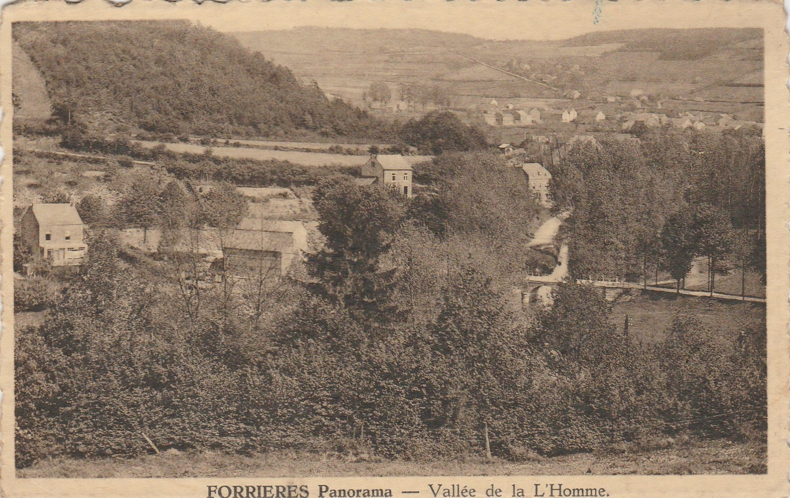 Forrières  , Panorama , Vallée De La L'Homme - Nassogne