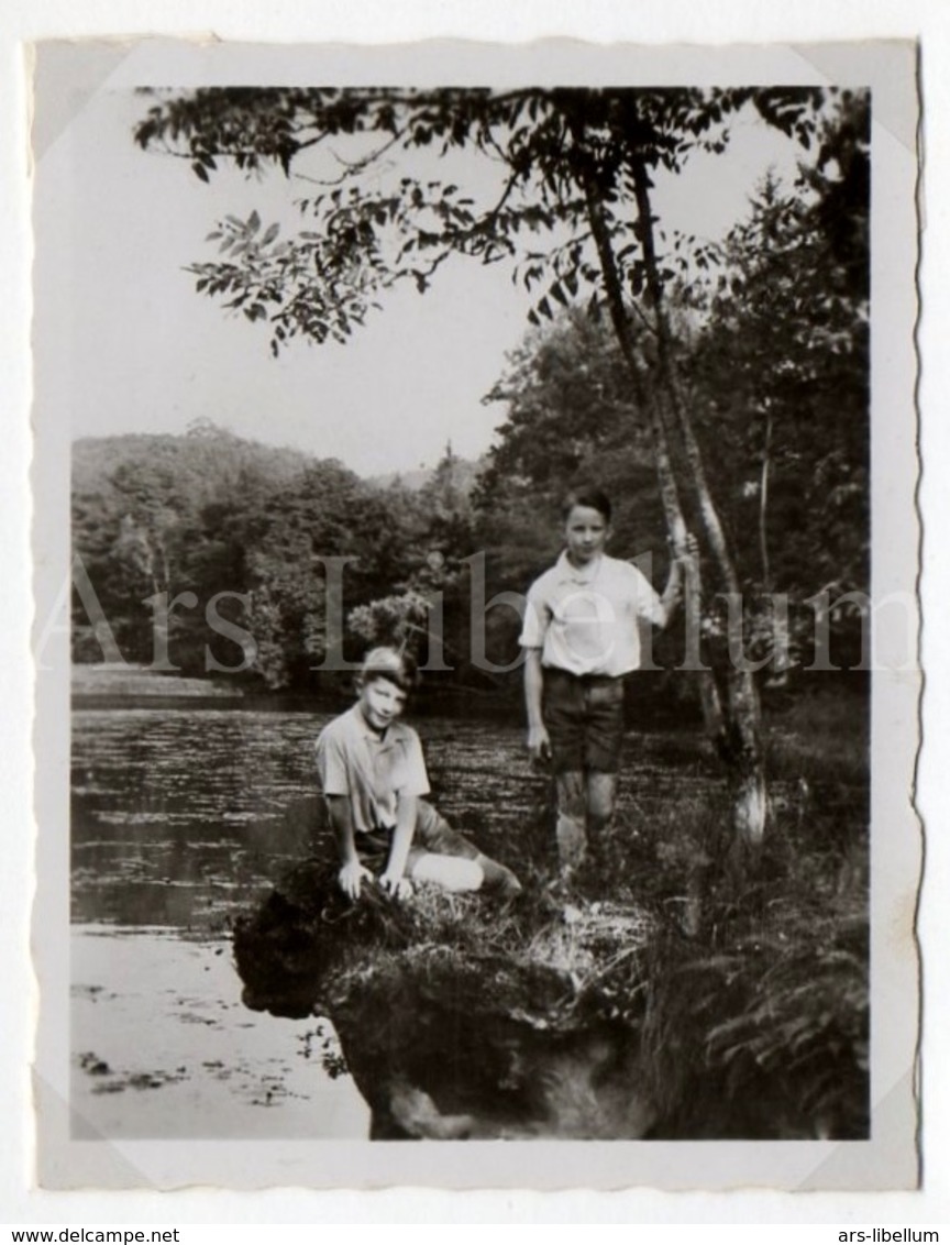 Small Photo Card / ROYALTY / Belgique / België / Prins Boudewijn / Prince Baudouin / Prins Albert / Prince Albert - Familles Royales