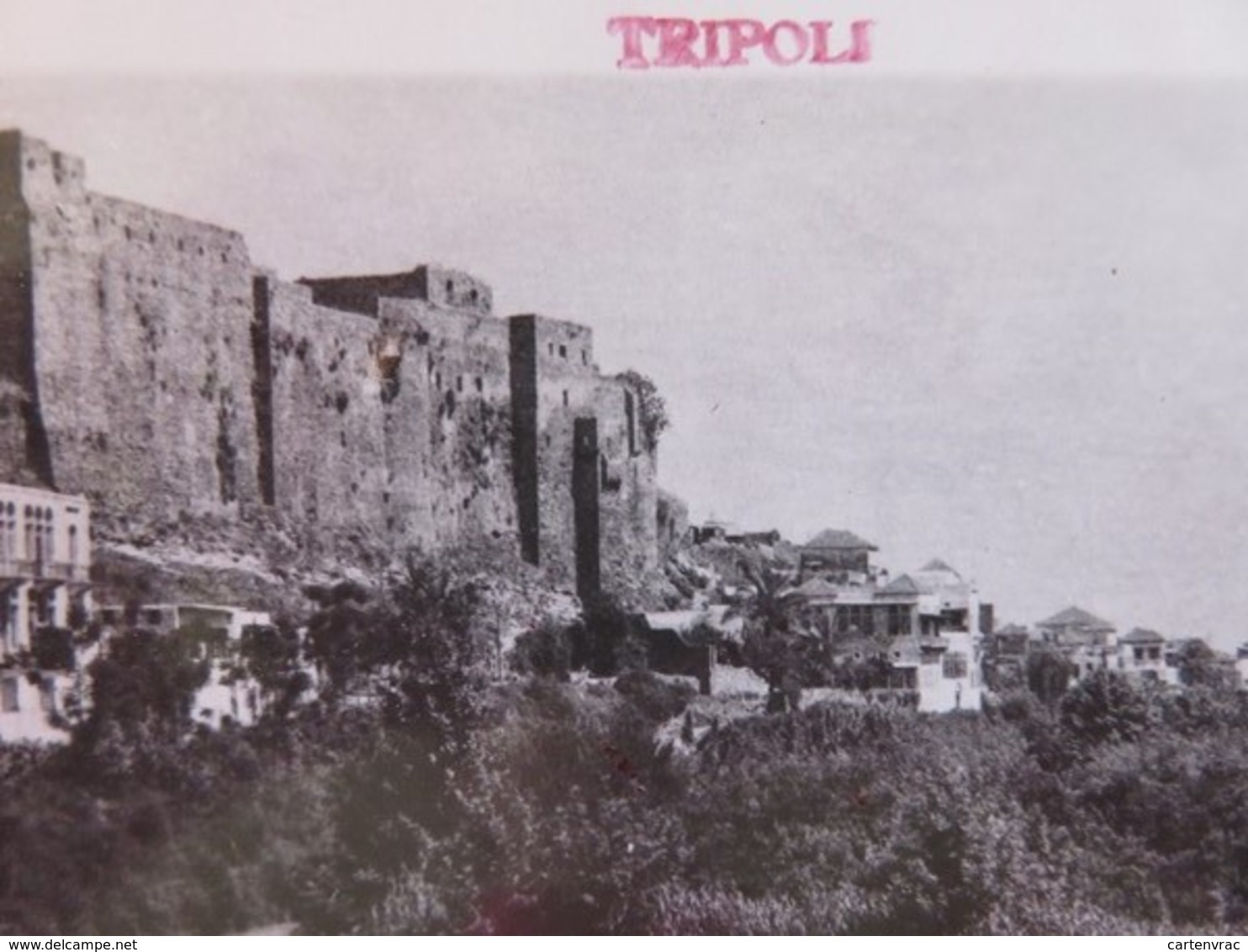 Liban - Carte Postale - Tripoli - Vallée Du Nahr Abou-Ali - Liban