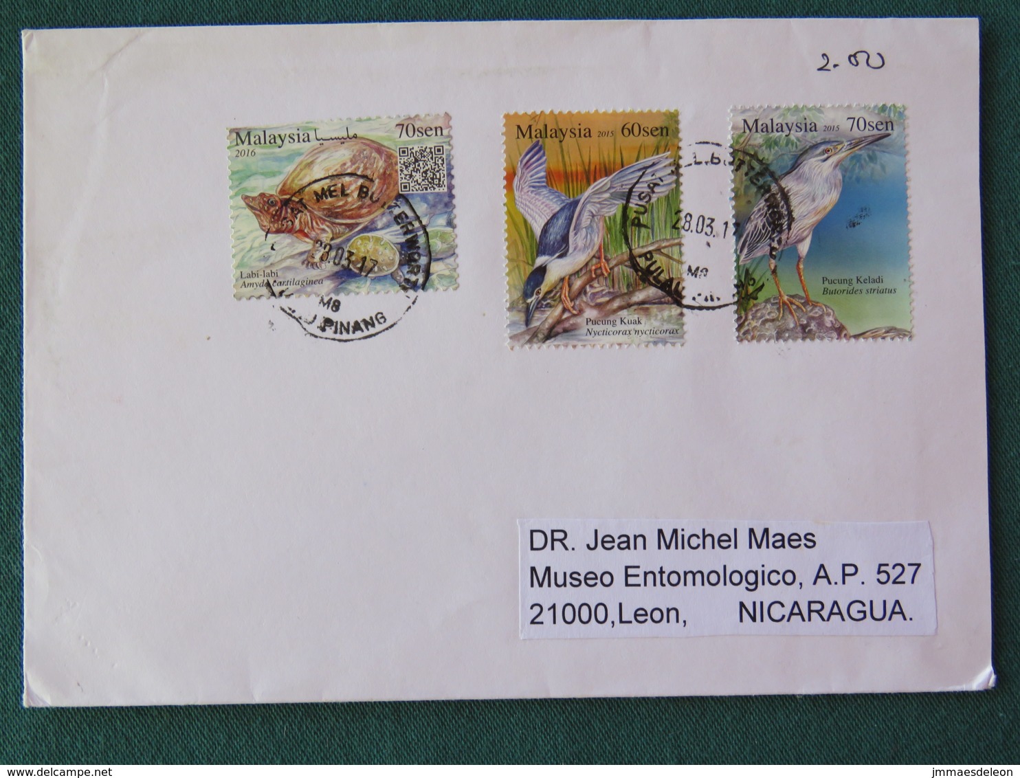 Malaysia 2017 Cover To Nicaragua - Animals Birds Turtle - Malaysia (1964-...)