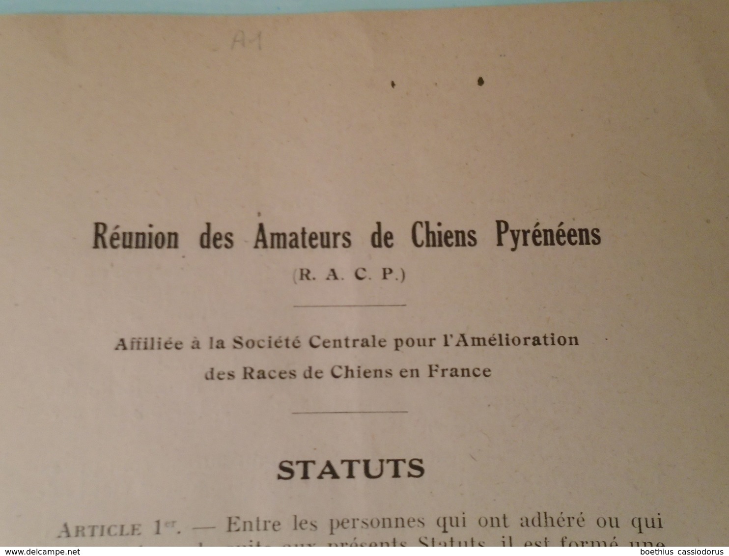 REUNION DES AMATEURS  DE CHIENS PYRENEENS  1948 Standards, Résultats, Berger Des Pyrénées, Patou ... - Midi-Pyrénées