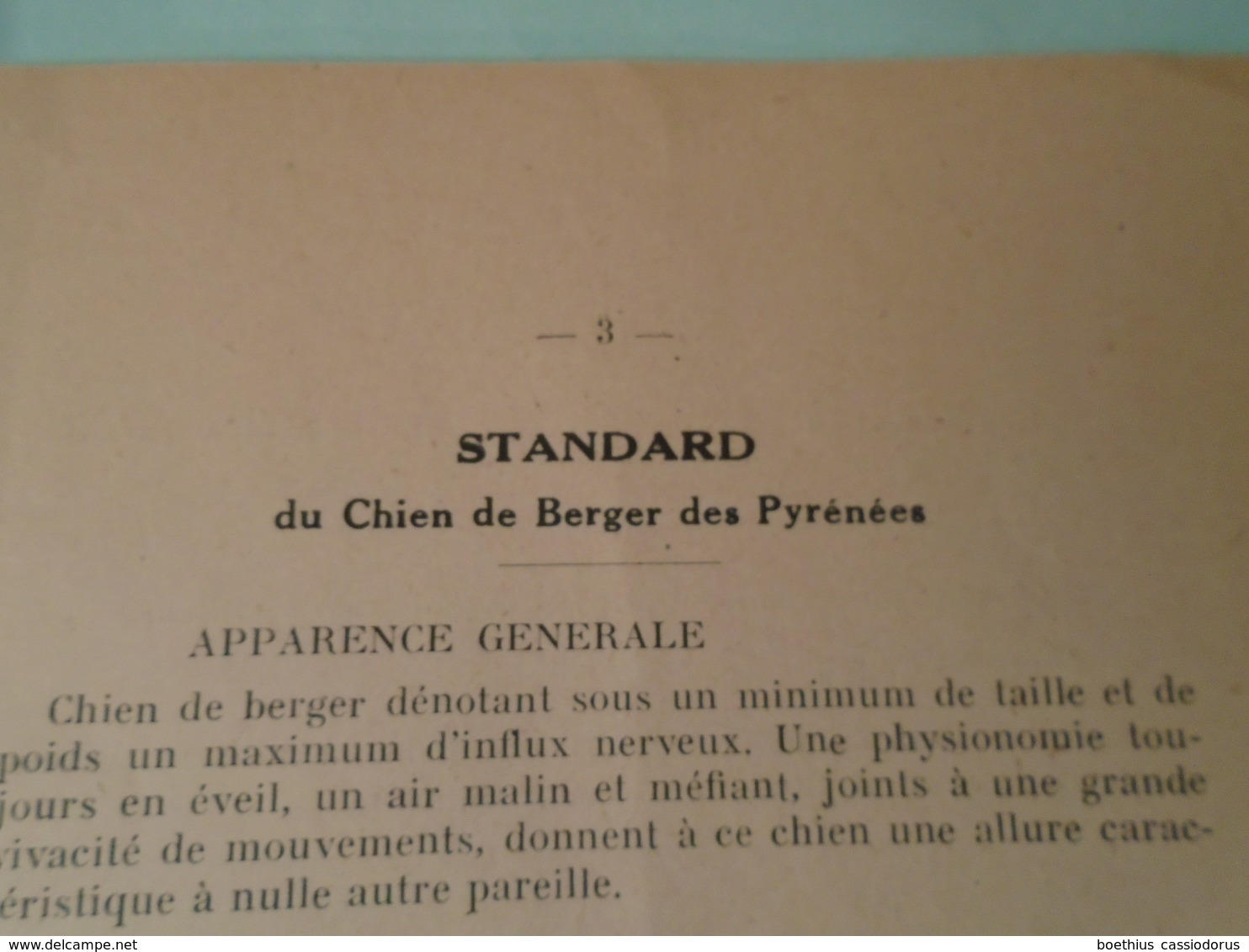 REUNION DES AMATEURS  DE CHIENS PYRENEENS  1948 Standards, Résultats, Berger Des Pyrénées, Patou ... - Midi-Pyrénées