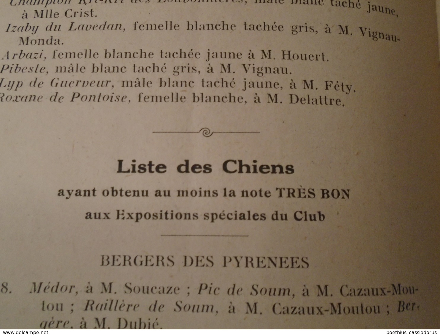 REUNION DES AMATEURS  DE CHIENS PYRENEENS  1948 standards, résultats, Berger des Pyrénées, Patou ...