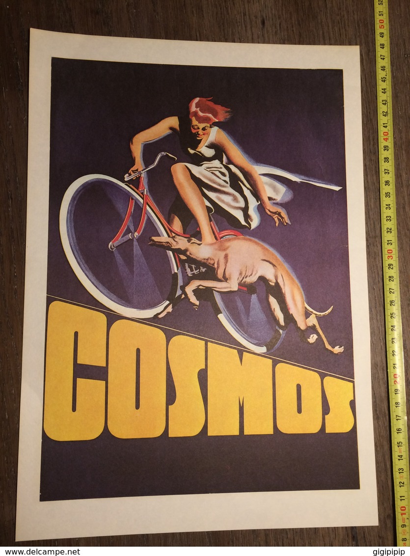 AFFICHE VELO LEVRIER COURSE COSMOS VELO BLEU BLANC ROUGE - Unclassified