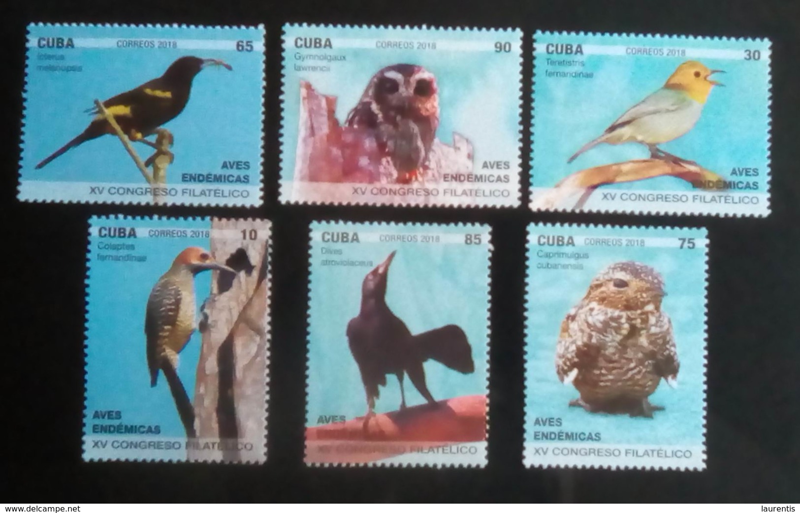 2861  Owls - Hiboux - Birds - 2018 - MNH - 2,95 - Hiboux & Chouettes