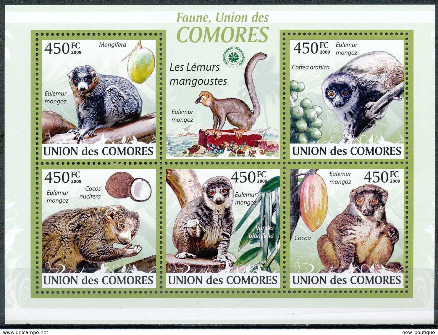 NB - [35625]Union Des Comores - Les Lémurs Mangoustes - Eulemur Mongoz - Comores (1975-...)