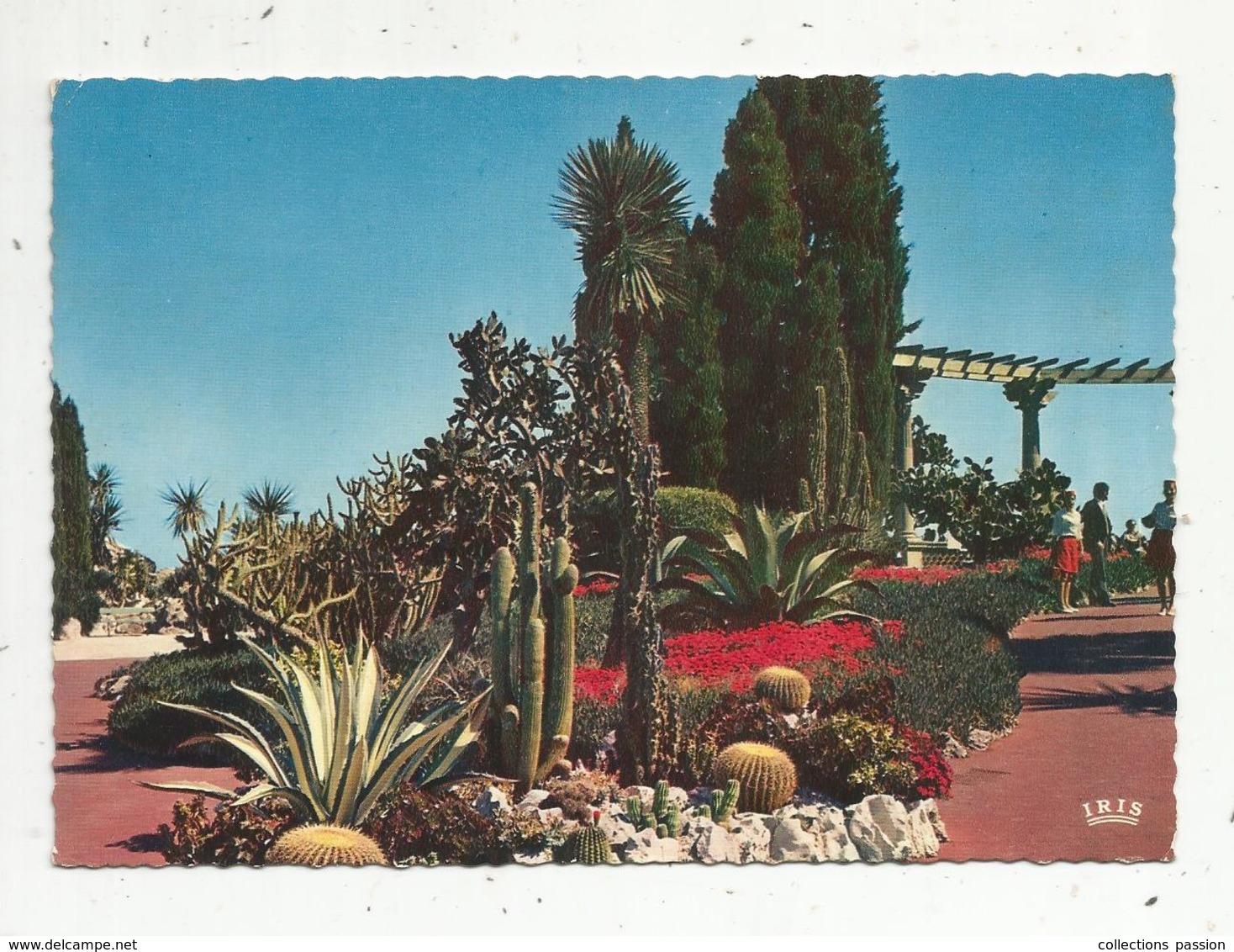 Cp, MONACO ,le Jardin Exotique , Voyagée 1972 - Exotische Tuin