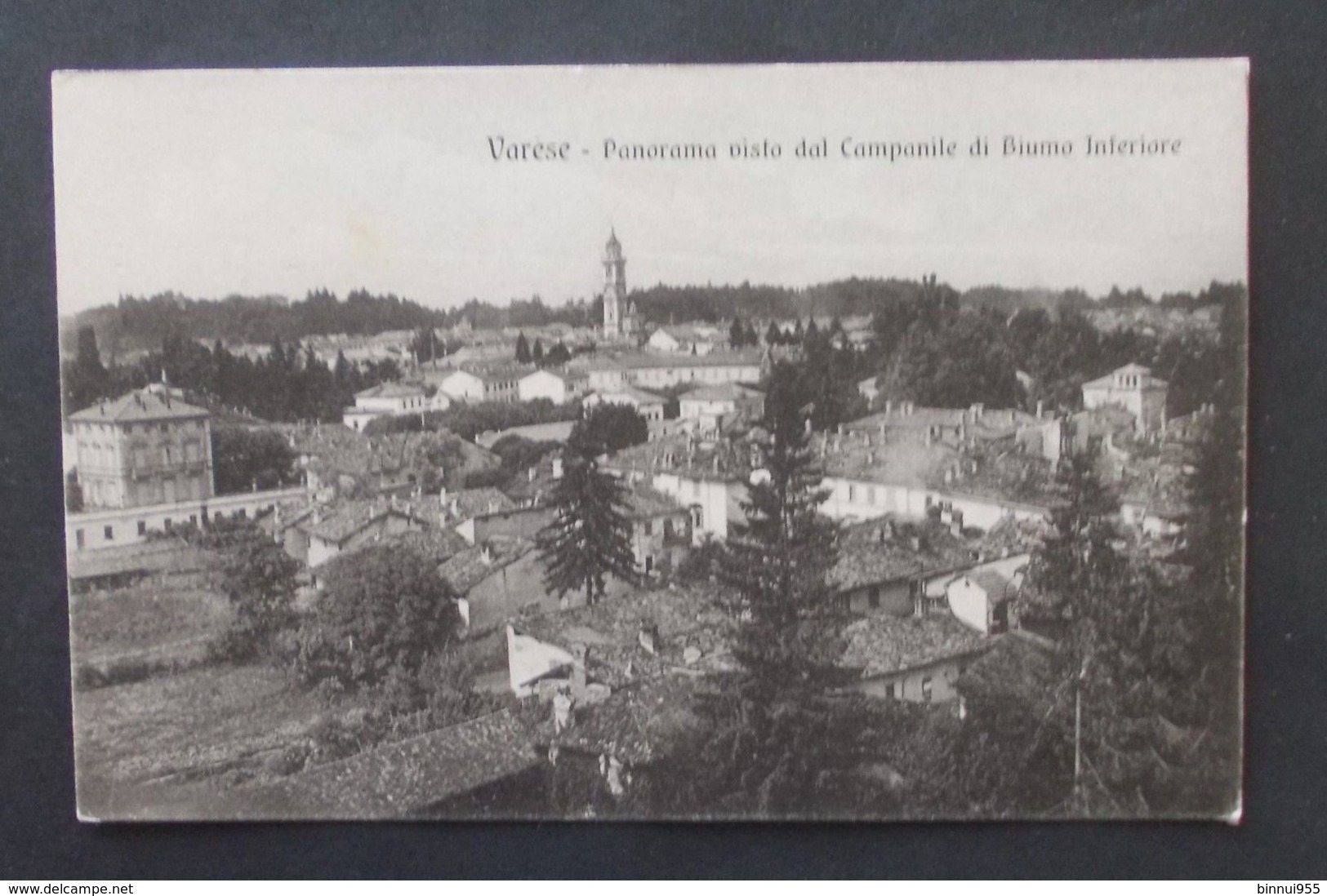 Cartolina Varese Panorama Visto Dal Campanile Di Biumo Inferiore - Non Viaggiata - Varese