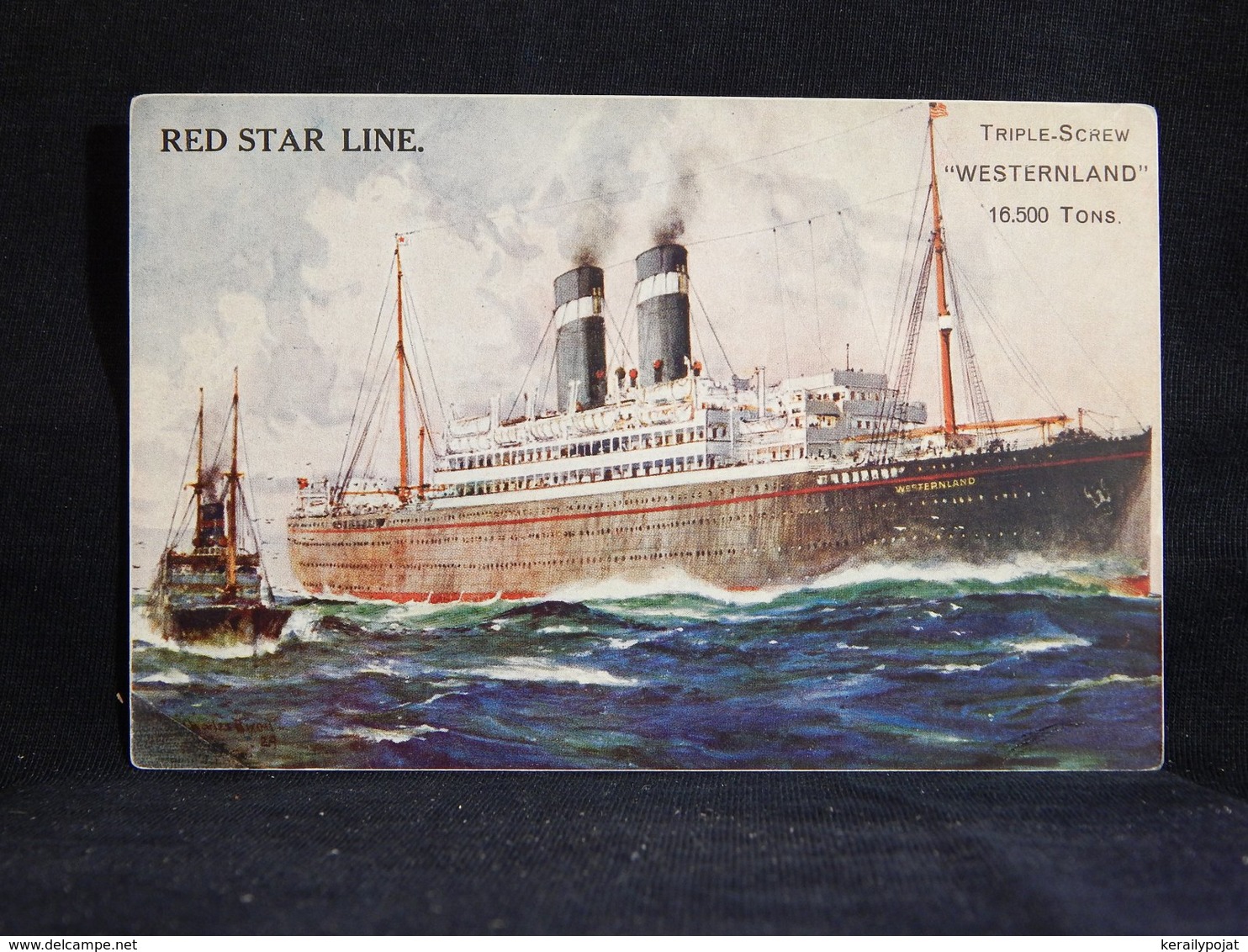 Steamer Red Star Line Westernland__(21349) - Piroscafi