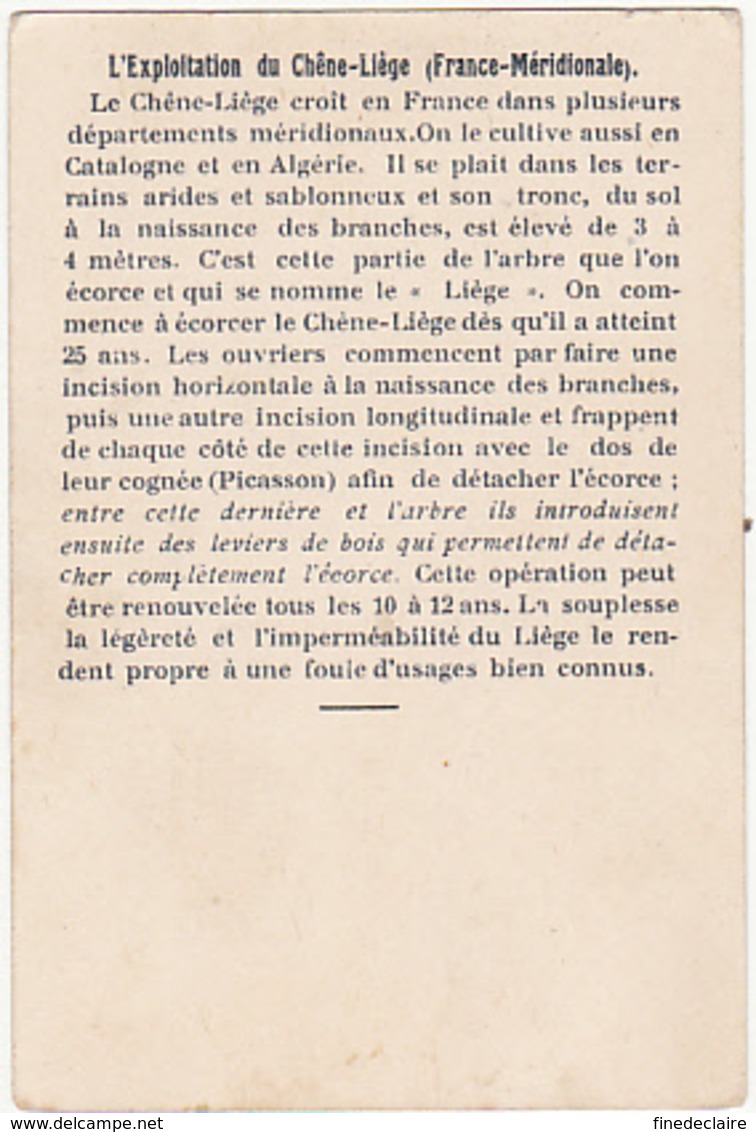Chromo - L'exploitation Du Chêne Liège (France Méridionale) - Autres & Non Classés