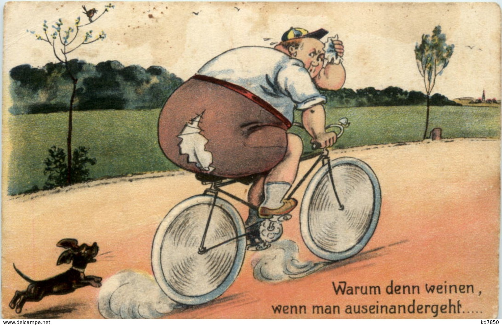 Humor - Radfahrer Hund - Humor