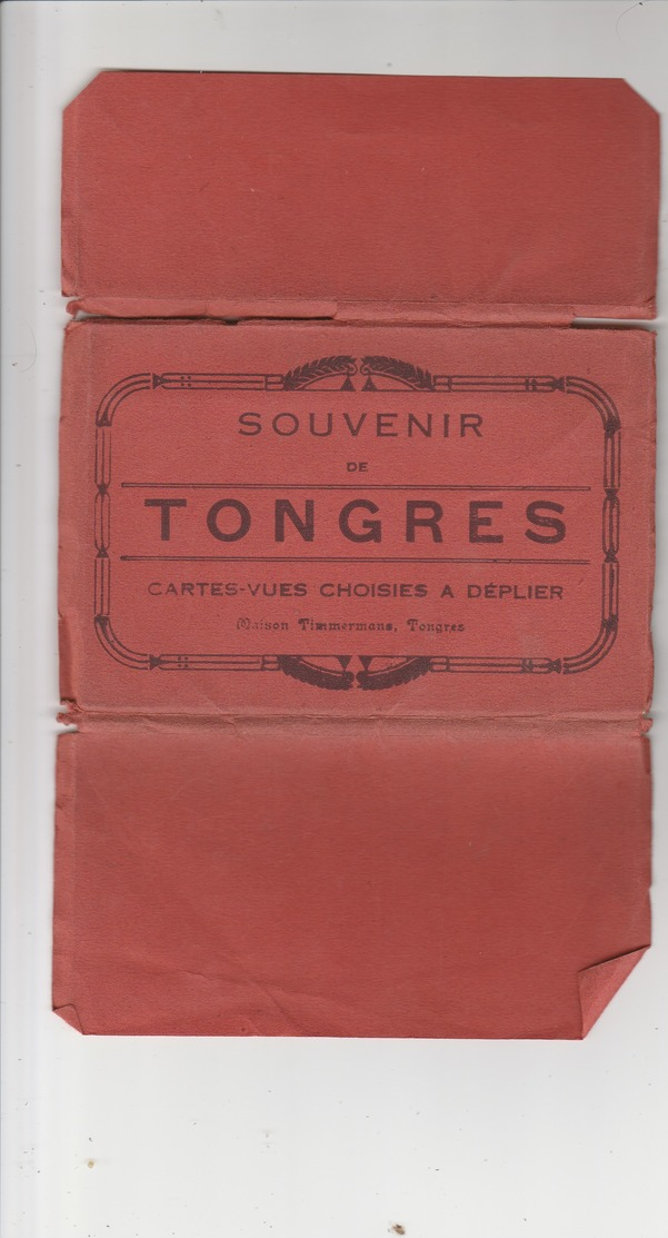 Tongeren , Tongres ,  Carnet De 10 Cartes ,Souvenir De Tongres , ( Edit : Maison Timmermans ) - Tongeren