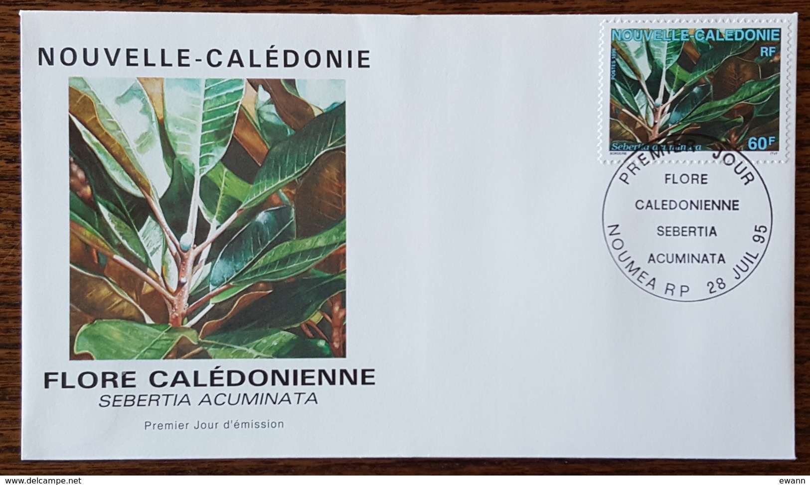 Nouvelle Calédonie - FDC 1995 - YT N°692 - Flore / Sebertia Acuminata - FDC