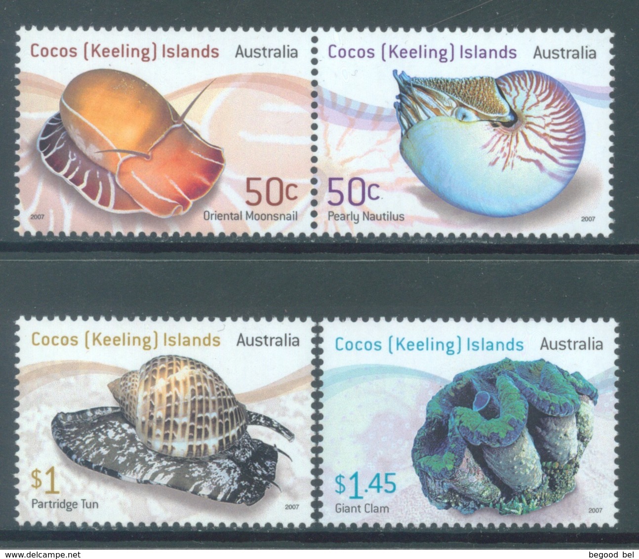 COCOS - MNH/*** LUXE  - 2007 - SHELLS - Yv 425-428 - Lot 18694 - Cocos (Keeling) Islands