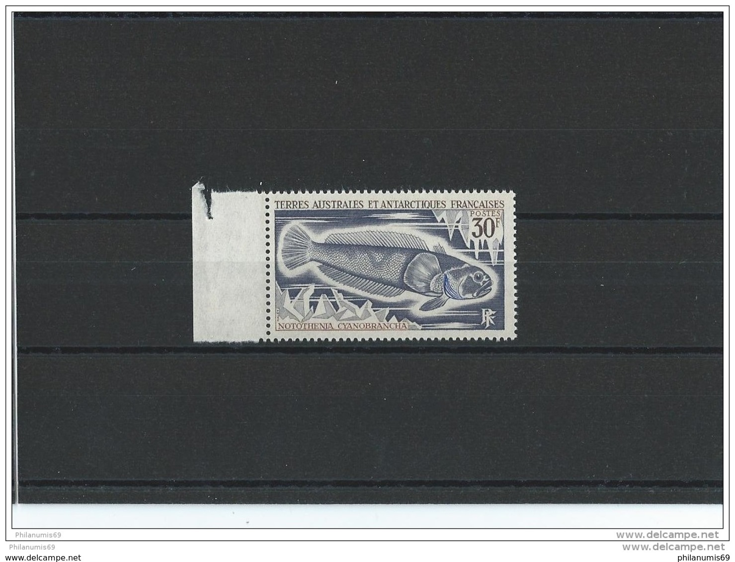 TAAF 1971 - YT N° 38 NEUF SANS CHARNIERE ** (MNH) GOMME D'ORIGINE LUXE - Neufs