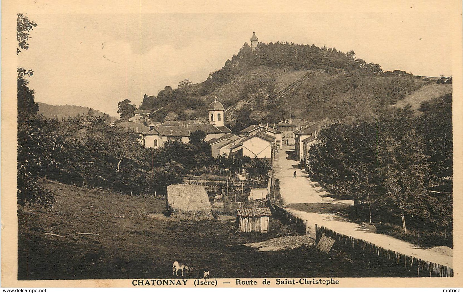 CHATONNAY - Route De Saint Christophe. - Châtonnay