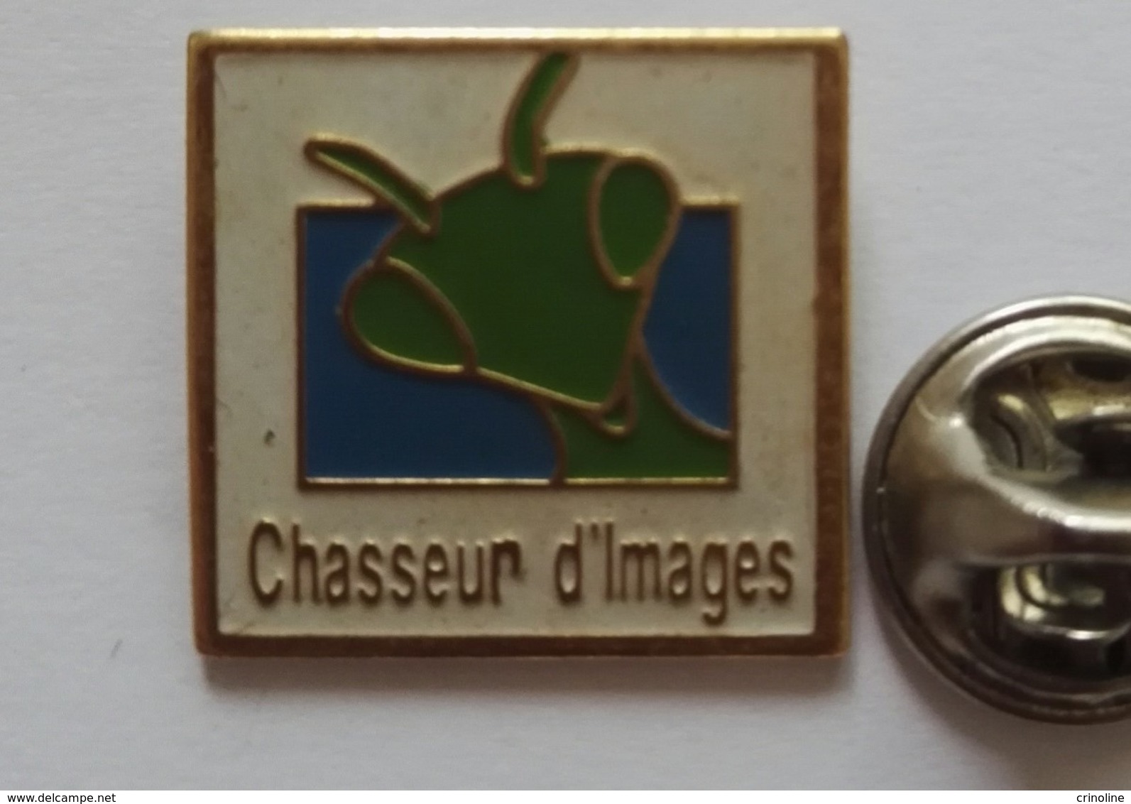 Pin's - Animaux Insecte Mante Religieuse Chasseur D'images - Animaux