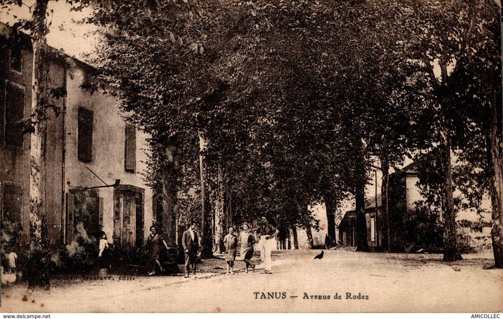 4748 -2018        TANUS  AVENUE DE RODEZ - Autres & Non Classés