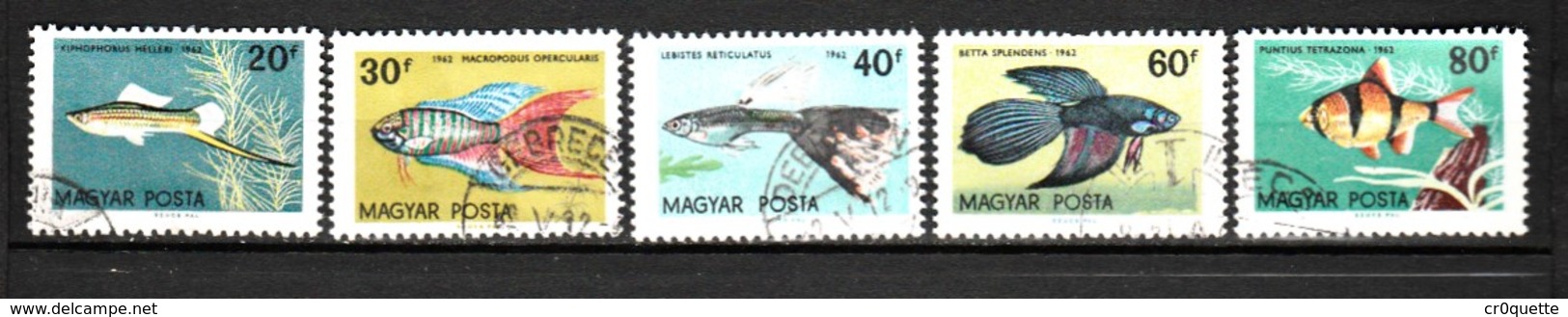 HONGRIE / SERIE DE 5 TIMBRES POISSONS - Poissons