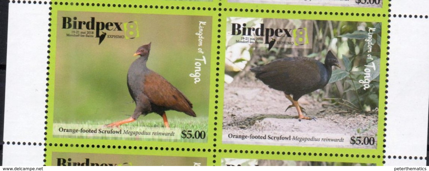 TONGA, 2018, MNH, BIRDPEX, BIRDS, 2v - Other & Unclassified