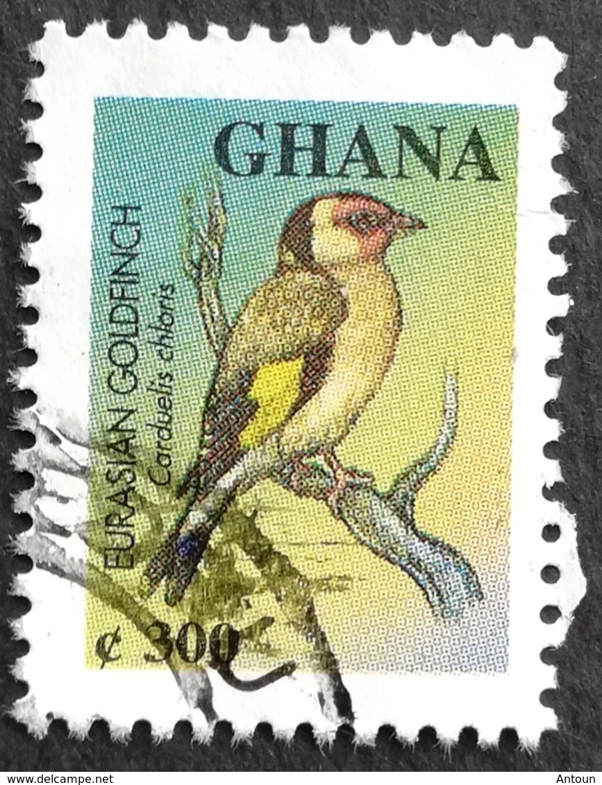 Ghana 2000 Bird Used - Ghana (1957-...)