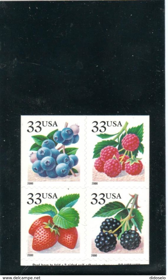 USA - Bloc Of Four / Double Sided - Fruits 2000 Year - Mic.#3110 II - 3113 II MNH(**) - Unused Stamps