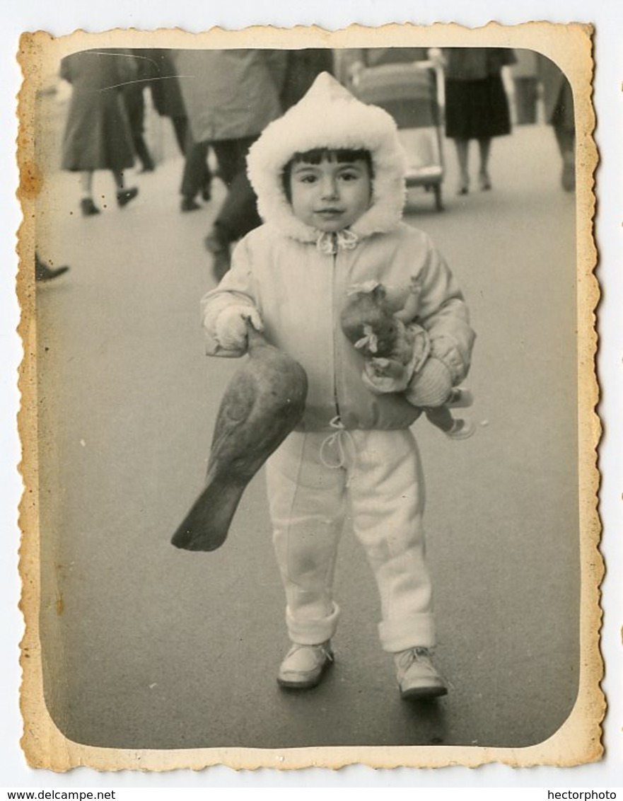 Street Enfant Jouet Pigeon Oiseau Doll Poupée Rue Passant Photographe Bébé Photo MARSEILLE Scan Dos Canebière - Personnes Anonymes