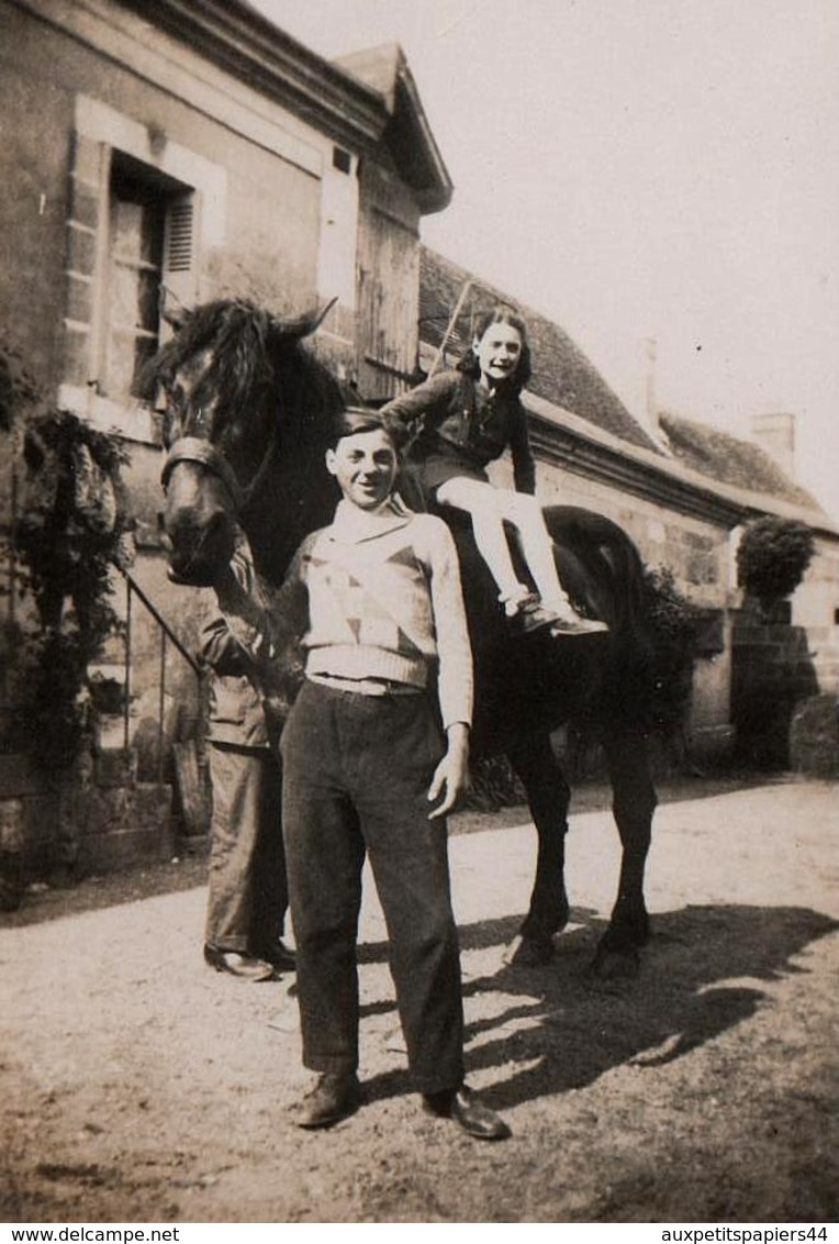 Photo Originale Cheval & Cours D'équitation à La Ferme Vers 1940 - Jeune Femme En Amazone - Personnes Anonymes