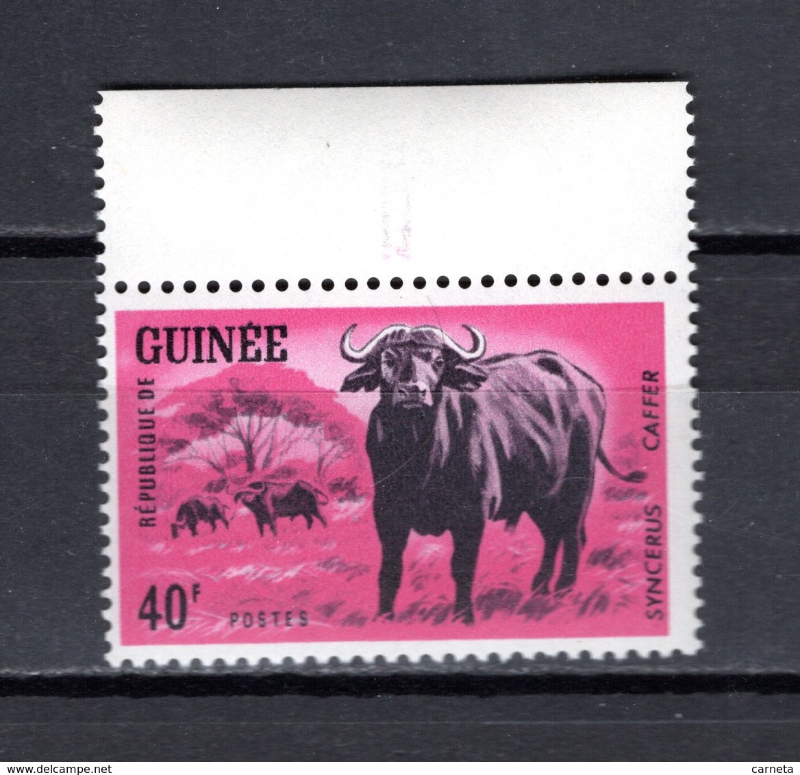 GUINEE N° 204  NEUF SANS CHARNIERE COTE 1.00€  ANIMAUX BUFFLE - Guinée (1958-...)