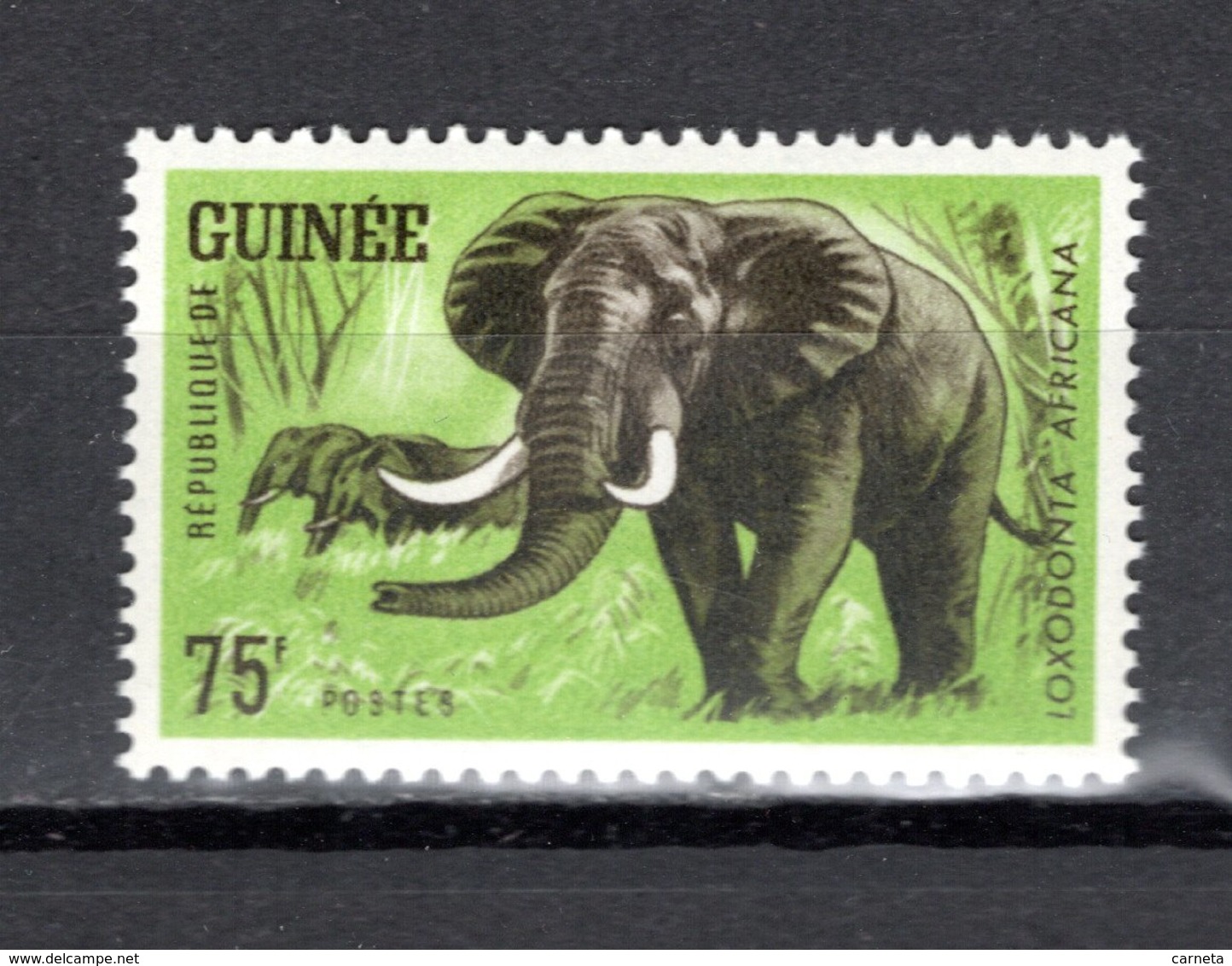 GUINEE N° 205  NEUF SANS CHARNIERE COTE 2.00€  ANIMAUX ELEPHANT - Guinée (1958-...)