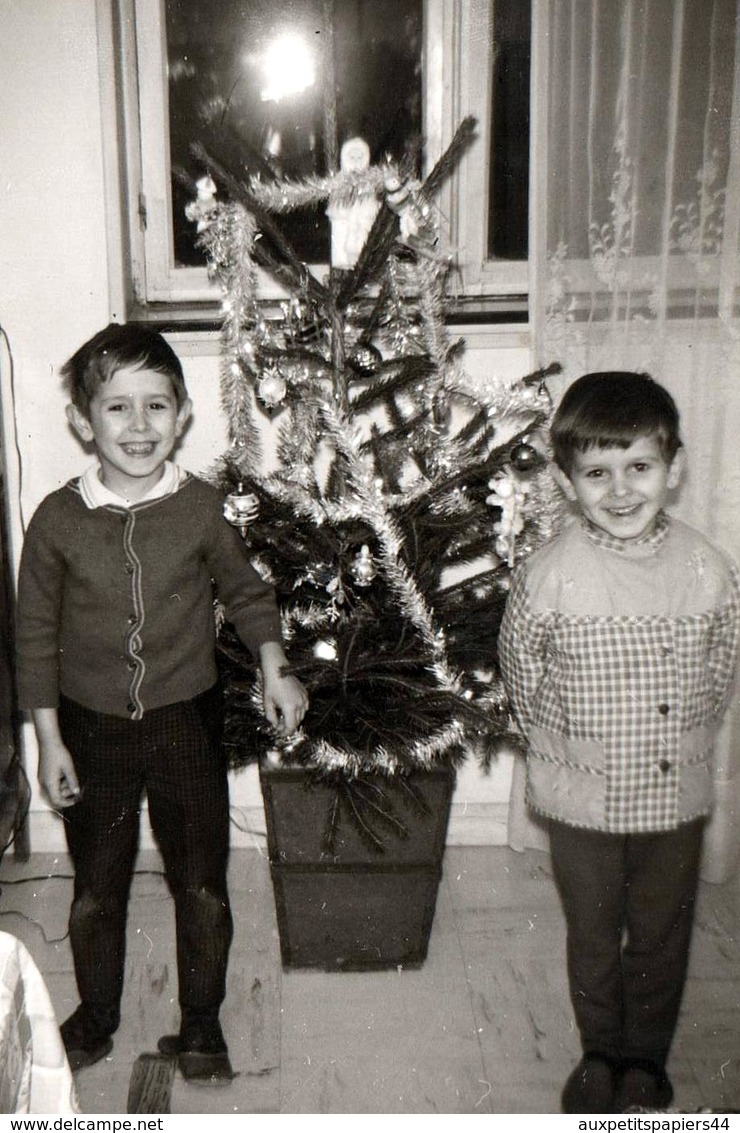 Photo Originale Portrait De Gamins Rieurs Posant Avec Leur Sapin De Noël En 1966 - Personnes Anonymes