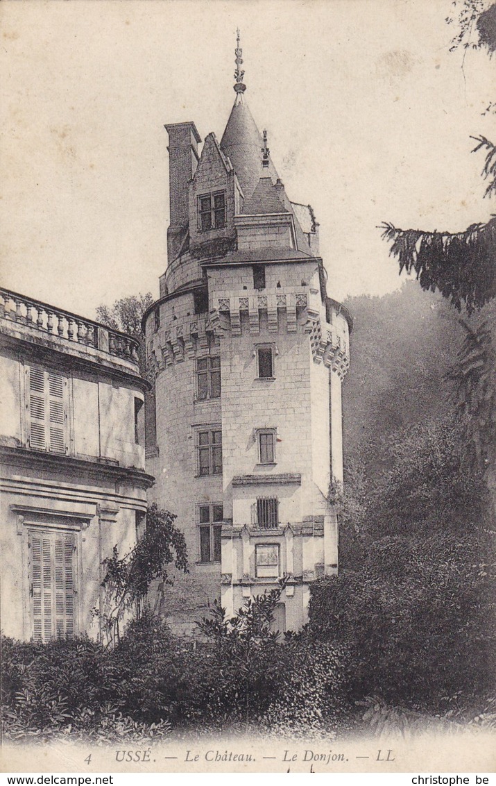 Usse, Le Château, Le Donjon (pk53476) - Reugny