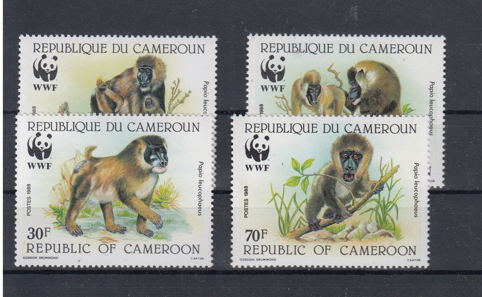 Kamerun (BBK) Michel Cat.No. Mnh/** 1155/1158 Wwf ,onkey - Kameroen (1960-...)