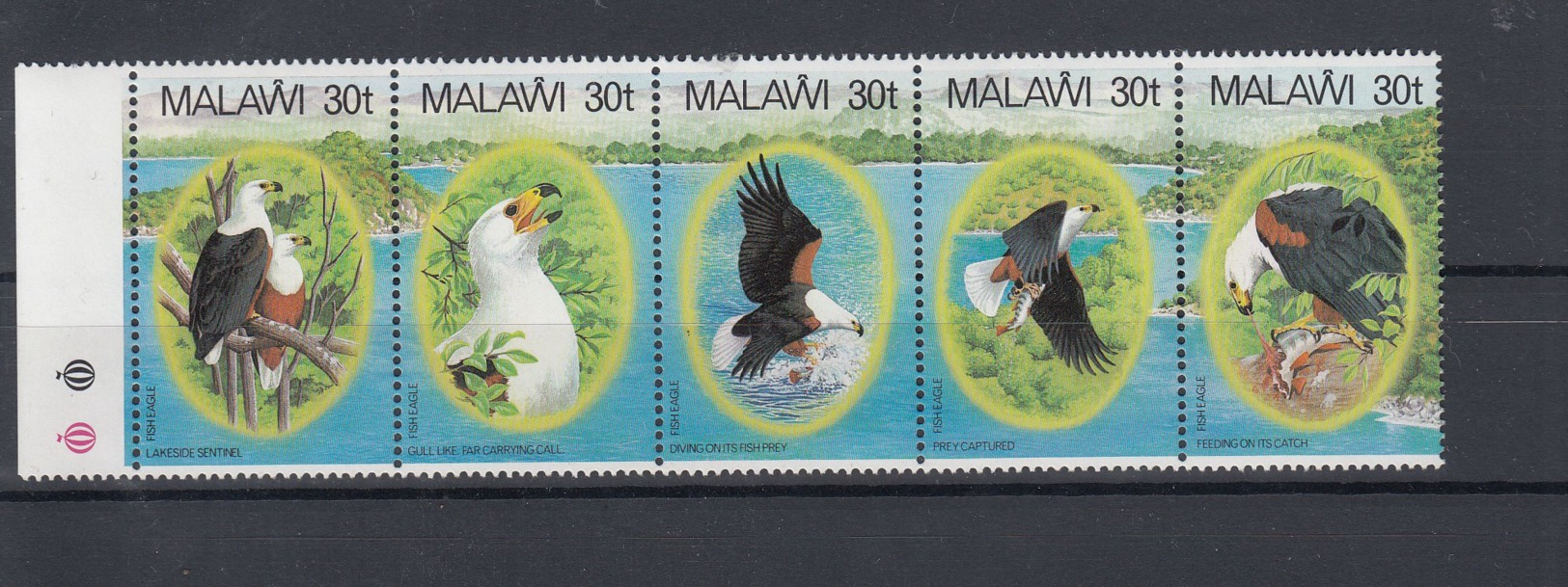 Malawi (BBK) Michel Cat.No. Mnh/** 396/400 Birds - Malawi (1964-...)