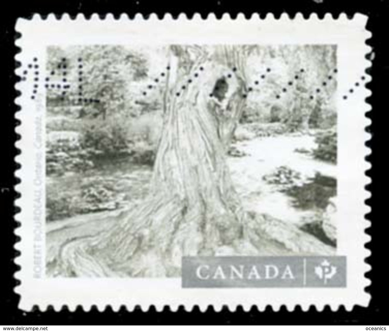 Canada (Scott No.3014 - Canadian Photographe Serie 5) (o) - Oblitérés