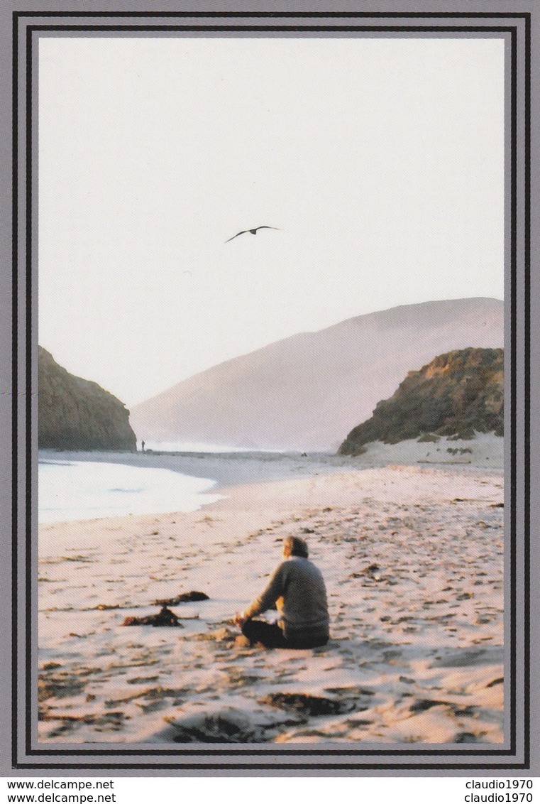 CARTOLINA - POSTCARD - STATI UNITI - CALIFORNIA - GILLES DELEUZE SUR PLAGE BIG SUR EN CALIFORNIE - Big Sur