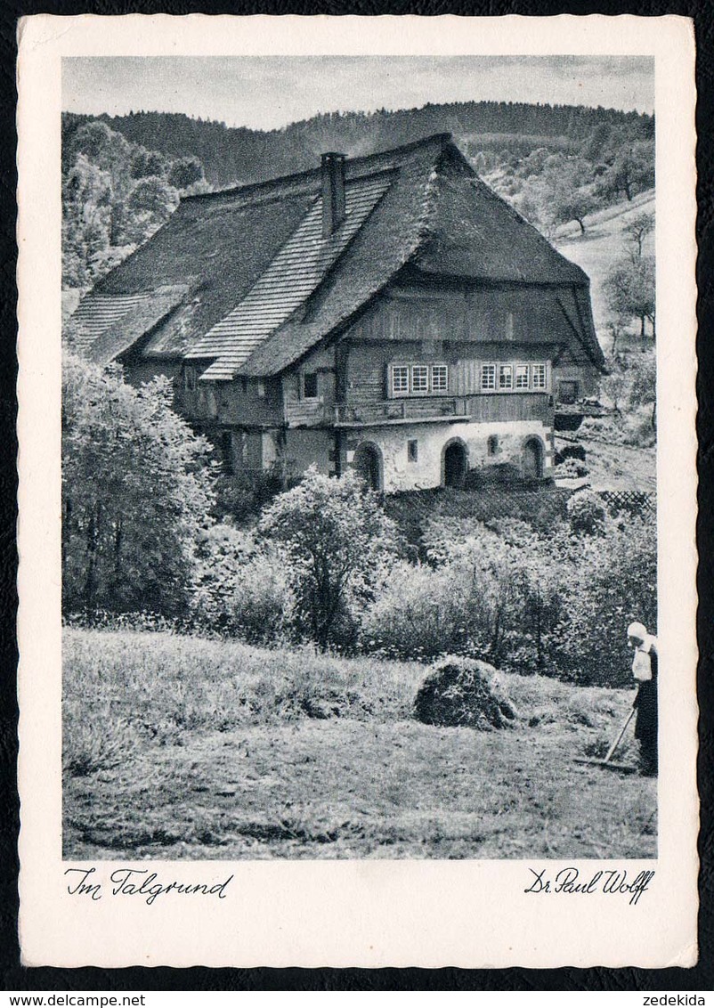 C0559 - Dr. Paul Wolf Foto Künstlerkarte - Bauernhaus - Felix Korn - Other & Unclassified