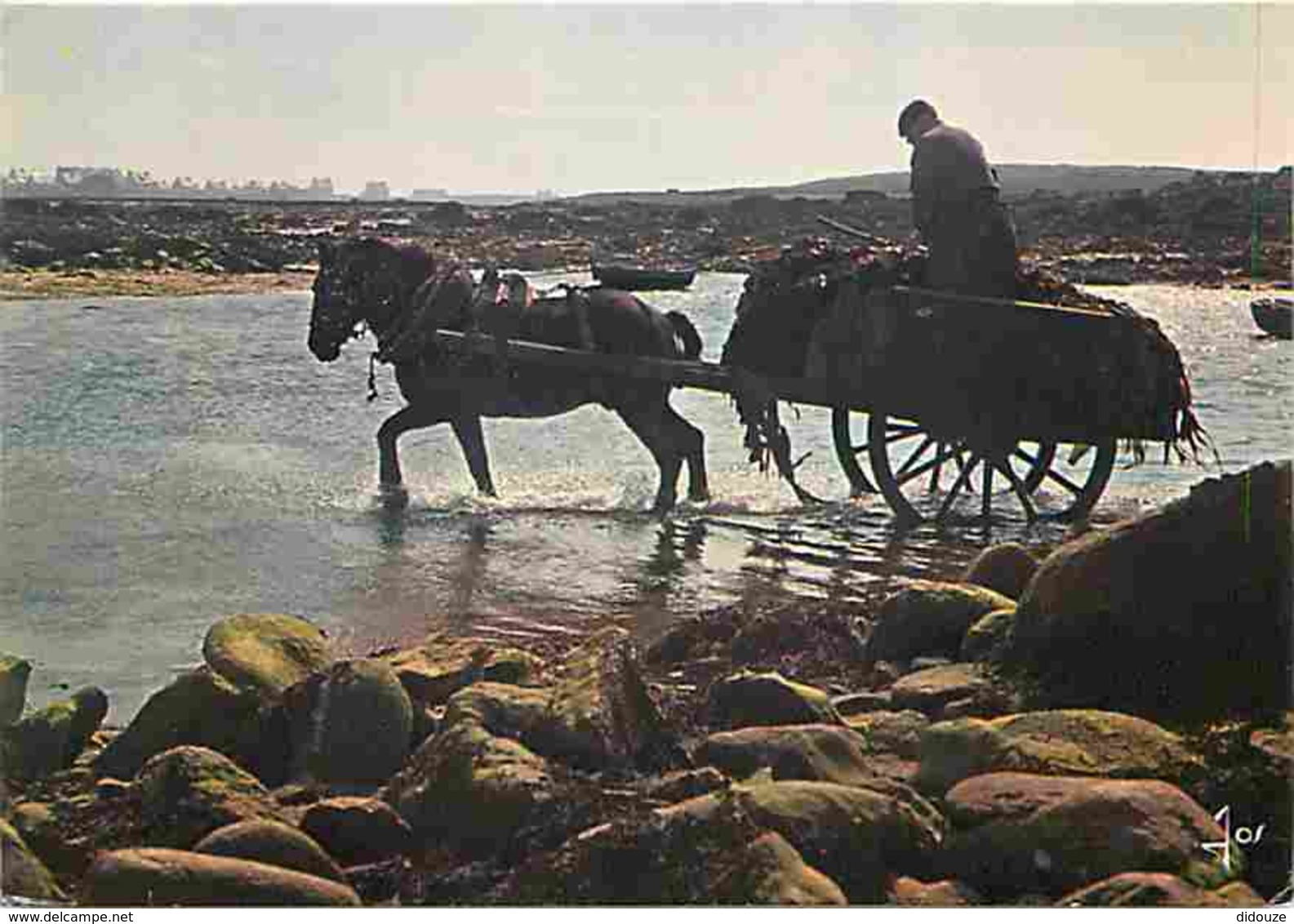 Animaux - Chevaux - Bretagne - Travail De La Mer En Bretagne - Ramassage Du Goémon - Flamme Postale De Ivry Sur Seine - - Chevaux