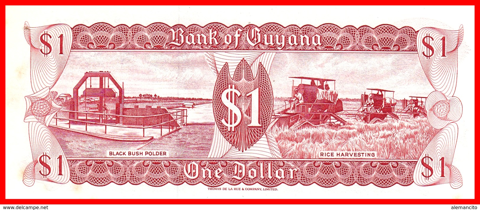 GUAYANA   ------    BILLETE DE 1 DOLAR DE LA GUAYANA - Guyana