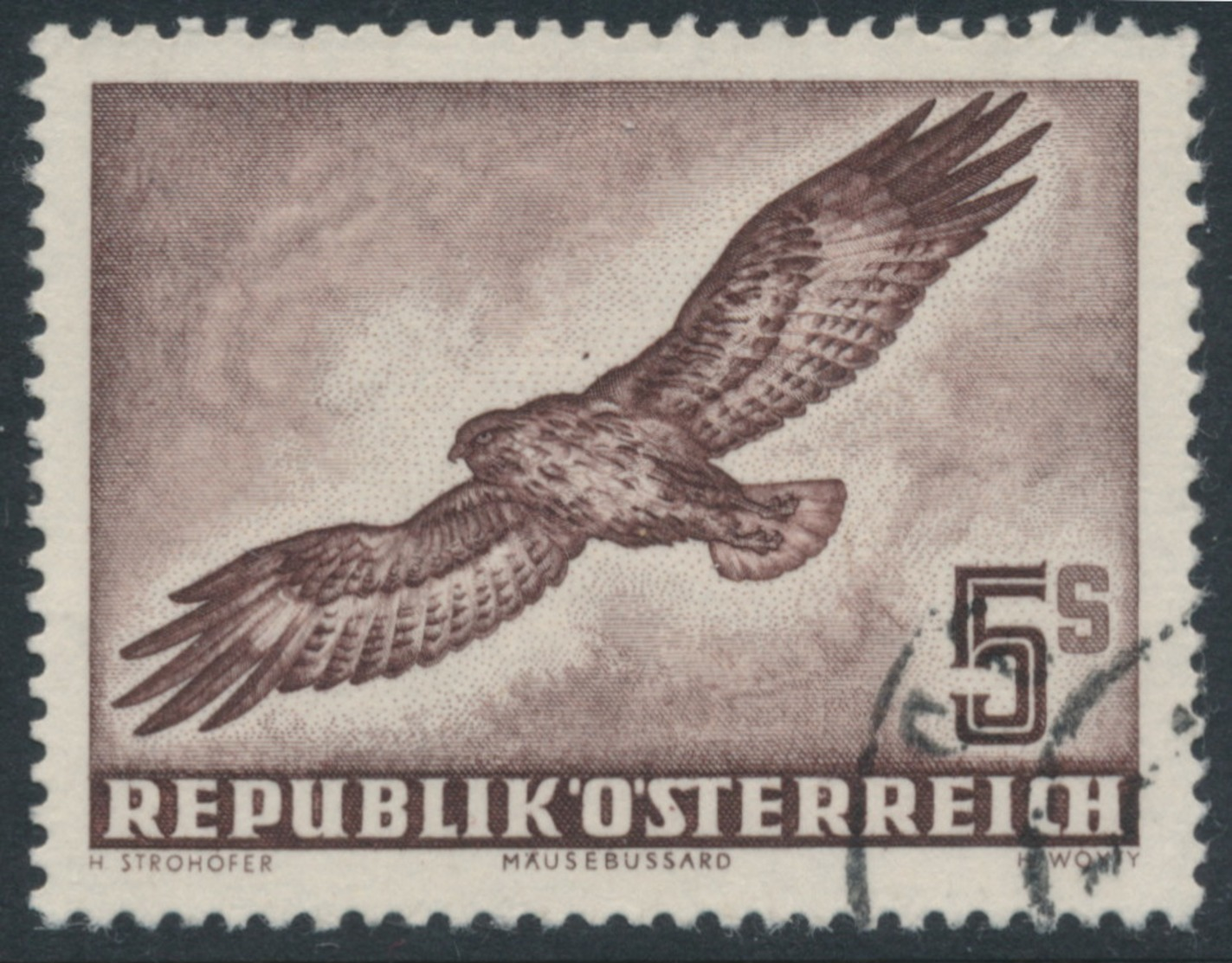 AUSTRIA / ÖSTERREICH - 1953 5S Purple-brown Bird Airmail, Used – Michel # 986 - Oblitérés