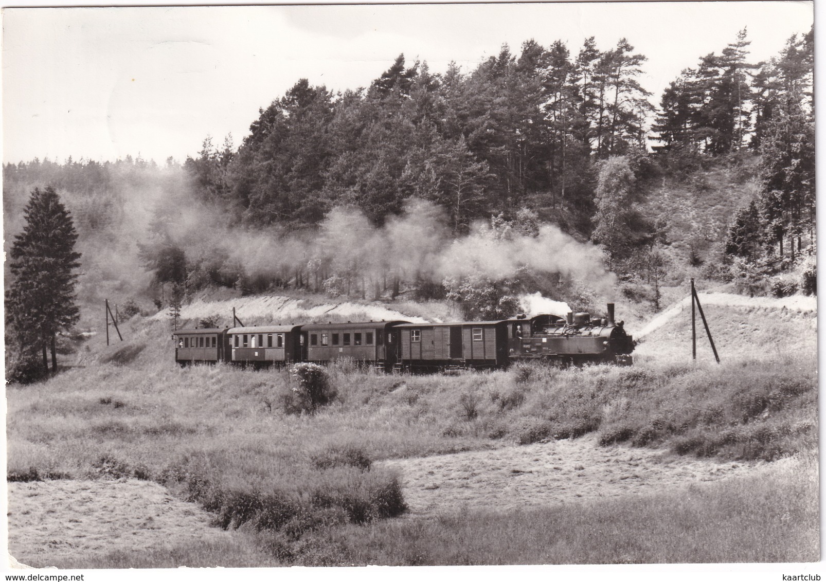 Strecke Leipzig - Dresden : DAMPFLOKOMOTIVE ZUG  - D.D.R. - Treinen