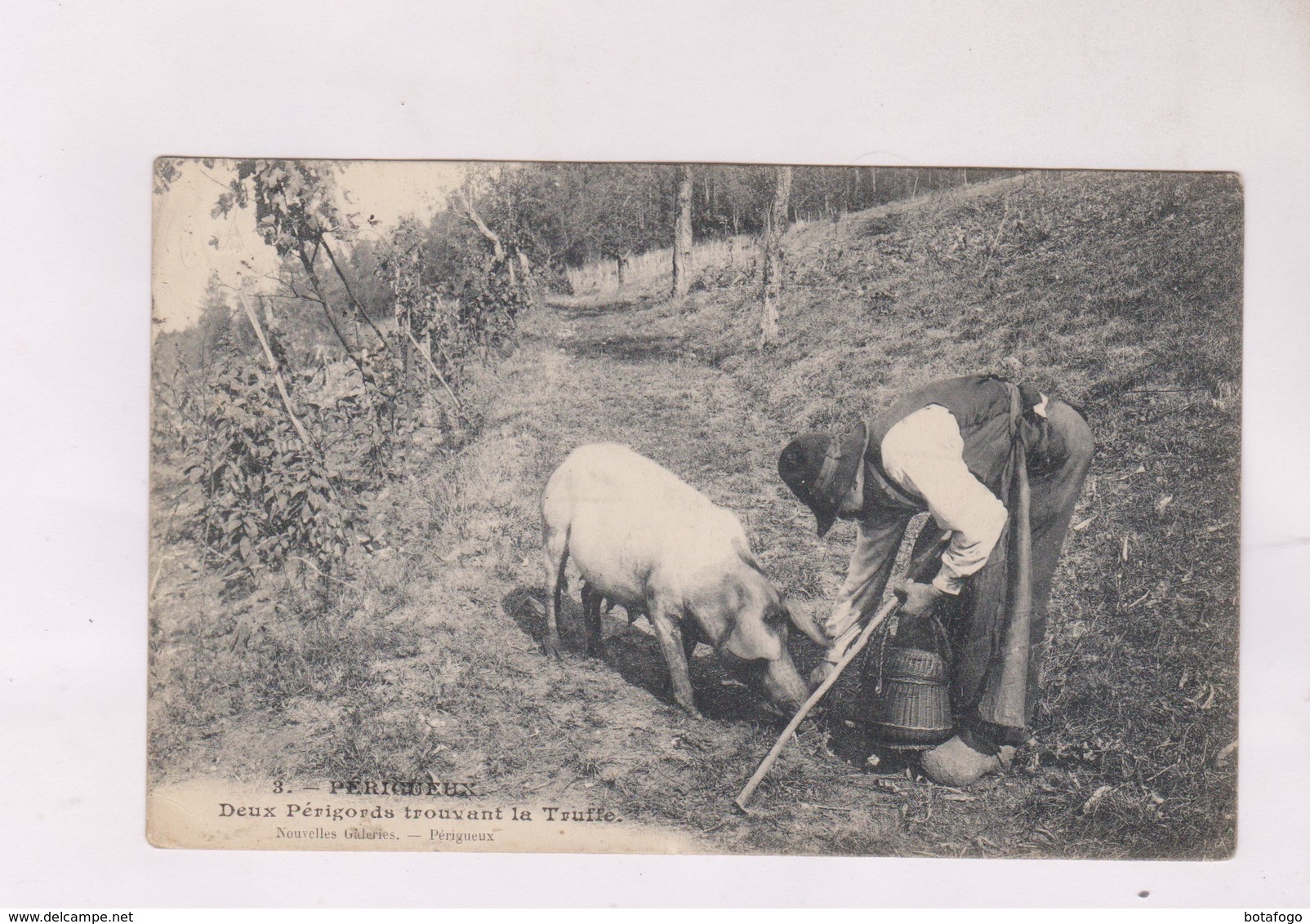 CPA DEUX PERIGORDS TROUVANT LA TRUFFE En 1907! - Périgueux