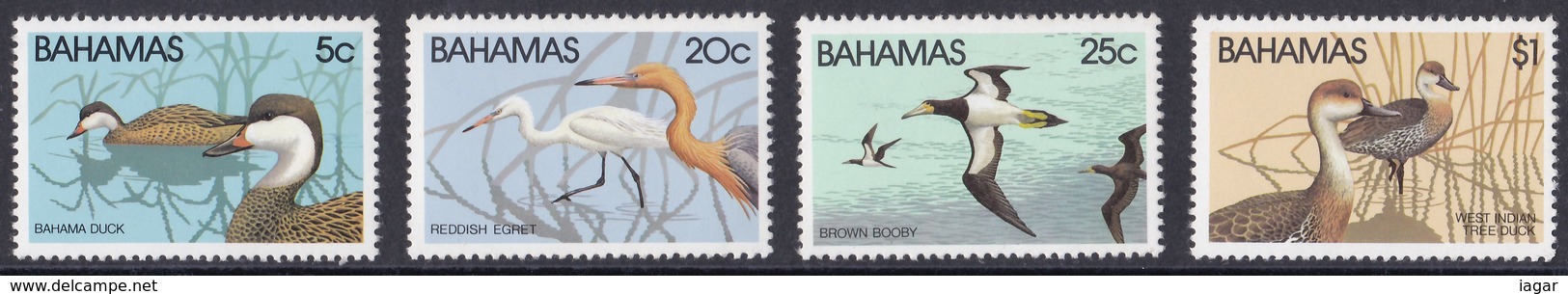 THEMATIC FAUNA:   SEA BIRDS. BAHAMA DUCK,  REDDISH EGRET,  BROWN BOOBY, WEST INDIAN TREE DUCK   -  BAHAMAS - Albatro & Uccelli Marini