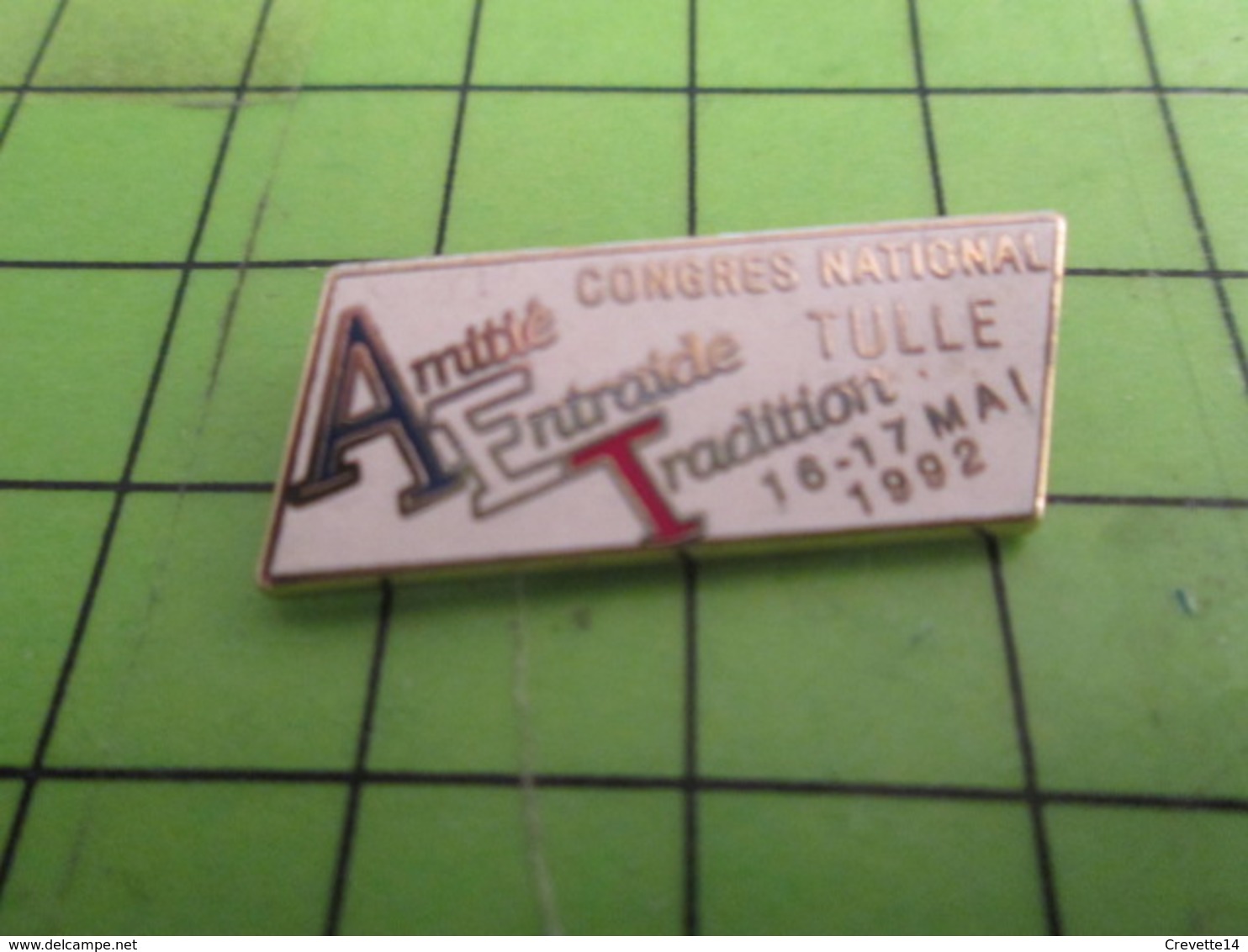 115d Pins Pin's / Rare & De Belle Qualité  THEME : VILLES / TULLE CONGRES NATIONAL AMITIE ENTRAIDE TRADITION - Villes