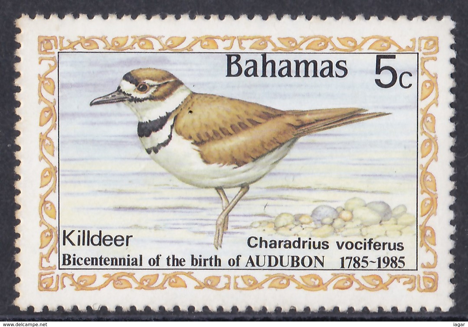 THEMATIC BIRDS - BAHAMAS - Sonstige & Ohne Zuordnung