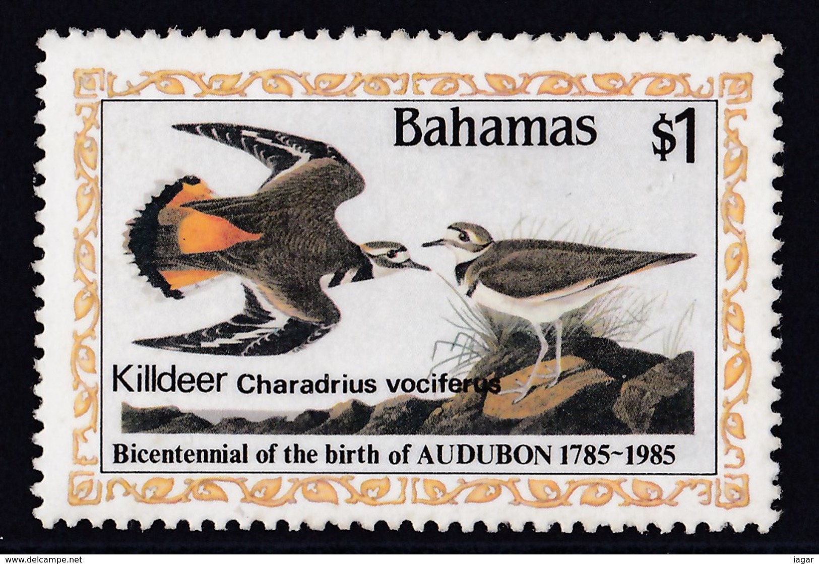 THEMATIC BIRDS - BAHAMAS - Altri & Non Classificati