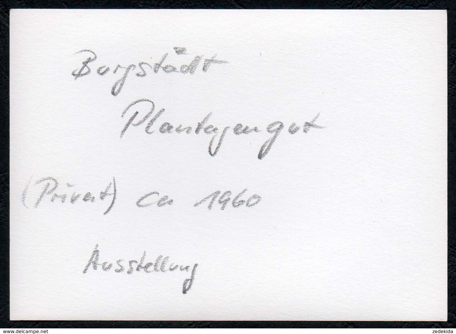 C0565 - Foto - Burgstädt Göppersorf - Paul Wittig Plantagengut Weinplantage Wein Weingut Ausstellung Messe ?? - Burgstaedt